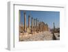 The Roman ruins with a long colonnade road, Jerash, Jordan, Middle East-Francesco Fanti-Framed Photographic Print