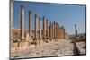 The Roman ruins with a long colonnade road, Jerash, Jordan, Middle East-Francesco Fanti-Mounted Photographic Print