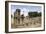 The Roman Theatre Dating from the 1st Century, Volterra, Tuscany, Italy, Europe-Copyright: Julian-Framed Photographic Print