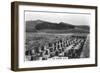 The Roman Wall, Housesteads, Northumberland, 1937-null-Framed Giclee Print