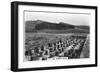 The Roman Wall, Housesteads, Northumberland, 1937-null-Framed Giclee Print