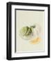 The Romana Melon, 1818-William Hooker-Framed Giclee Print