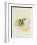 The Romana Melon, 1818-William Hooker-Framed Giclee Print