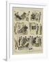 The Romance of a Bath-Chair-Alexander Stuart Boyd-Framed Giclee Print