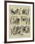 The Romance of a Bath-Chair-Alexander Stuart Boyd-Framed Giclee Print