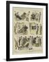 The Romance of a Bath-Chair-Alexander Stuart Boyd-Framed Giclee Print