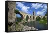 The Romanesque Bridge, Besalu, Catalonia, Spain-Rob Cousins-Framed Stretched Canvas