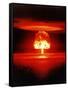 The Romero Shot, Was a Hydrogen Bomb That Yielded 11 Megatons of Energy-null-Framed Stretched Canvas