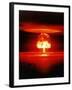 The Romero Shot, Was a Hydrogen Bomb That Yielded 11 Megatons of Energy-null-Framed Photo