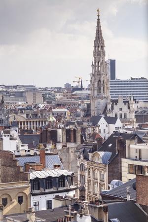 https://imgc.allpostersimages.com/img/posters/the-rooftops-and-spire-of-the-town-hall-in-the-background-brussels-belgium-europe_u-L-PSLSRM0.jpg?artPerspective=n