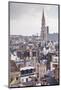 The Rooftops and Spire of the Town Hall in the Background, Brussels, Belgium, Europe-Julian Elliott-Mounted Photographic Print