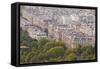 The Rooftops of Paris from the Eiffel Tower, Paris, France, Europe-Julian Elliott-Framed Stretched Canvas