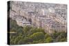 The Rooftops of Paris from the Eiffel Tower, Paris, France, Europe-Julian Elliott-Stretched Canvas