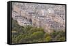 The Rooftops of Paris from the Eiffel Tower, Paris, France, Europe-Julian Elliott-Framed Stretched Canvas