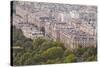 The Rooftops of Paris from the Eiffel Tower, Paris, France, Europe-Julian Elliott-Stretched Canvas