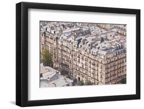 The Rooftops of Paris from the Eiffel Tower-Julian Elliott-Framed Photographic Print