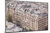 The Rooftops of Paris from the Eiffel Tower-Julian Elliott-Mounted Photographic Print