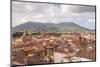 The Rooftops of the Historic Centre of Lucca, Tuscany, Italy, Europe-Julian Elliott-Mounted Photographic Print