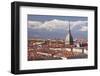 The Rooftops of Turin with the Mole Antonelliana, Turin, Piedmont, Italy, Europe-Julian Elliott-Framed Photographic Print