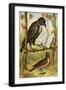 The Rook and the Lark-English School-Framed Giclee Print