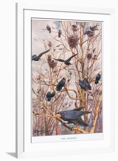 The Rookery, Illustration from 'Country Ways and Country Days'-Louis Fairfax Muckley-Framed Giclee Print