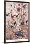 The Rookery, Illustration from 'Country Ways and Country Days'-Louis Fairfax Muckley-Framed Giclee Print