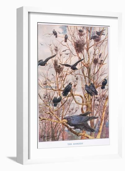 The Rookery, Illustration from 'Country Ways and Country Days'-Louis Fairfax Muckley-Framed Giclee Print