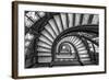 The Rookery-Yimei Sun-Framed Giclee Print