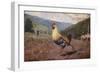 The Rooster, 1876 (W/C & Pencil on Wove Paper)-Winslow Homer-Framed Giclee Print