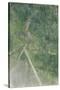 The Rope Dancer-Henri de Toulouse-Lautrec-Stretched Canvas