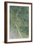 Brown Frame