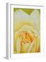 The Rose, 1995-Myung-Bo Sim-Framed Giclee Print