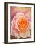 The Rose, 1999-Myung-Bo Sim-Framed Giclee Print