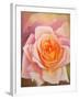 The Rose, 1999-Myung-Bo Sim-Framed Giclee Print