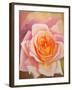 The Rose, 1999-Myung-Bo Sim-Framed Giclee Print