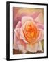 The Rose, 1999-Myung-Bo Sim-Framed Giclee Print