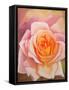 The Rose, 1999-Myung-Bo Sim-Framed Stretched Canvas