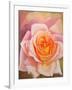 The Rose, 1999-Myung-Bo Sim-Framed Giclee Print