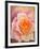 The Rose, 1999-Myung-Bo Sim-Framed Giclee Print