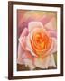 The Rose, 1999-Myung-Bo Sim-Framed Giclee Print
