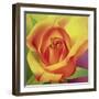 The Rose, 2000-Myung-Bo Sim-Framed Giclee Print