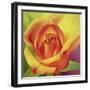 The Rose, 2000-Myung-Bo Sim-Framed Giclee Print