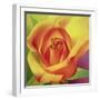 The Rose, 2000-Myung-Bo Sim-Framed Giclee Print