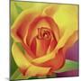 The Rose, 2000-Myung-Bo Sim-Mounted Giclee Print