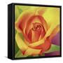 The Rose, 2000-Myung-Bo Sim-Framed Stretched Canvas