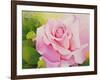 The Rose, 2001-Myung-Bo Sim-Framed Giclee Print