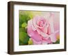 The Rose, 2001-Myung-Bo Sim-Framed Giclee Print