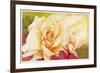 The Rose, 2001-Myung-Bo Sim-Framed Giclee Print