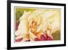 The Rose, 2001-Myung-Bo Sim-Framed Giclee Print