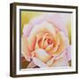 The Rose, 2002-Myung-Bo Sim-Framed Giclee Print